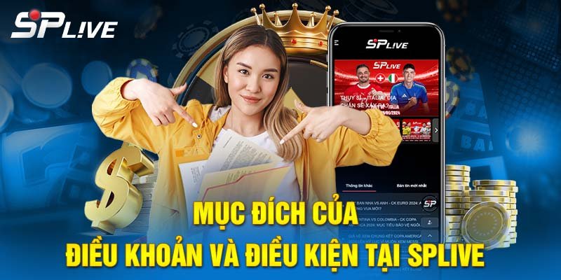 Mục đích của điều khoản điều kiện tại SPLIVE