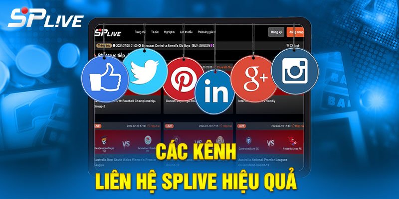 Các kênh liên hệ SPLIVE hỗ trợ