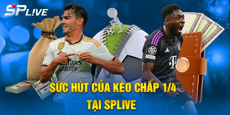 Sức hút của kèo chấp ¼ tại SPLIVE