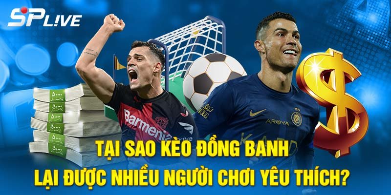 Tại sao kèo này được nhiều người chơi yêu thích?