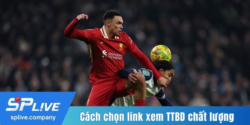 Cách chọn link xem TTBD chất lượng