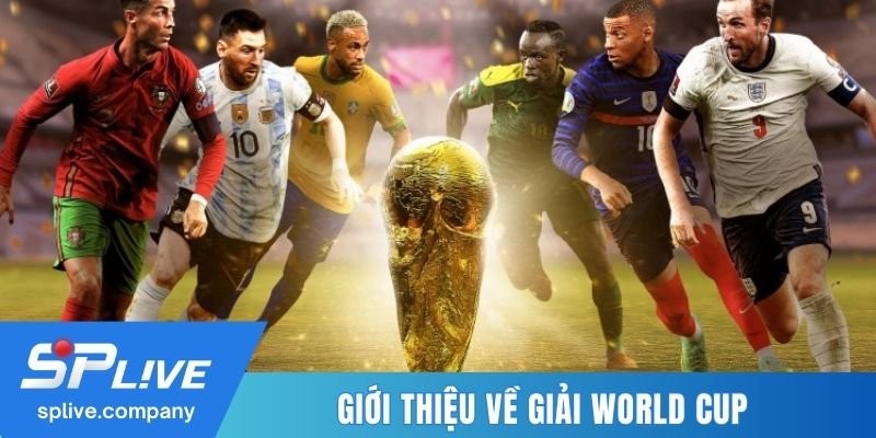 Giới thiệu về World Cup