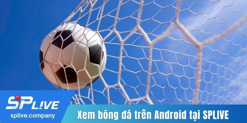 Xem bóng đá trên Android tại SPLIVE