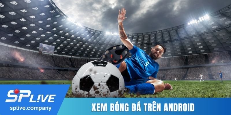 Câu hỏi thường gặp khi xem TTBD