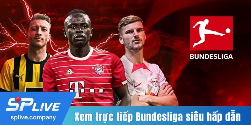 Xem trực tiếp Bundesliga siêu hấp dẫn